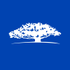 WisdomTree Artificial Intelligence and Innovation Fund Share Price